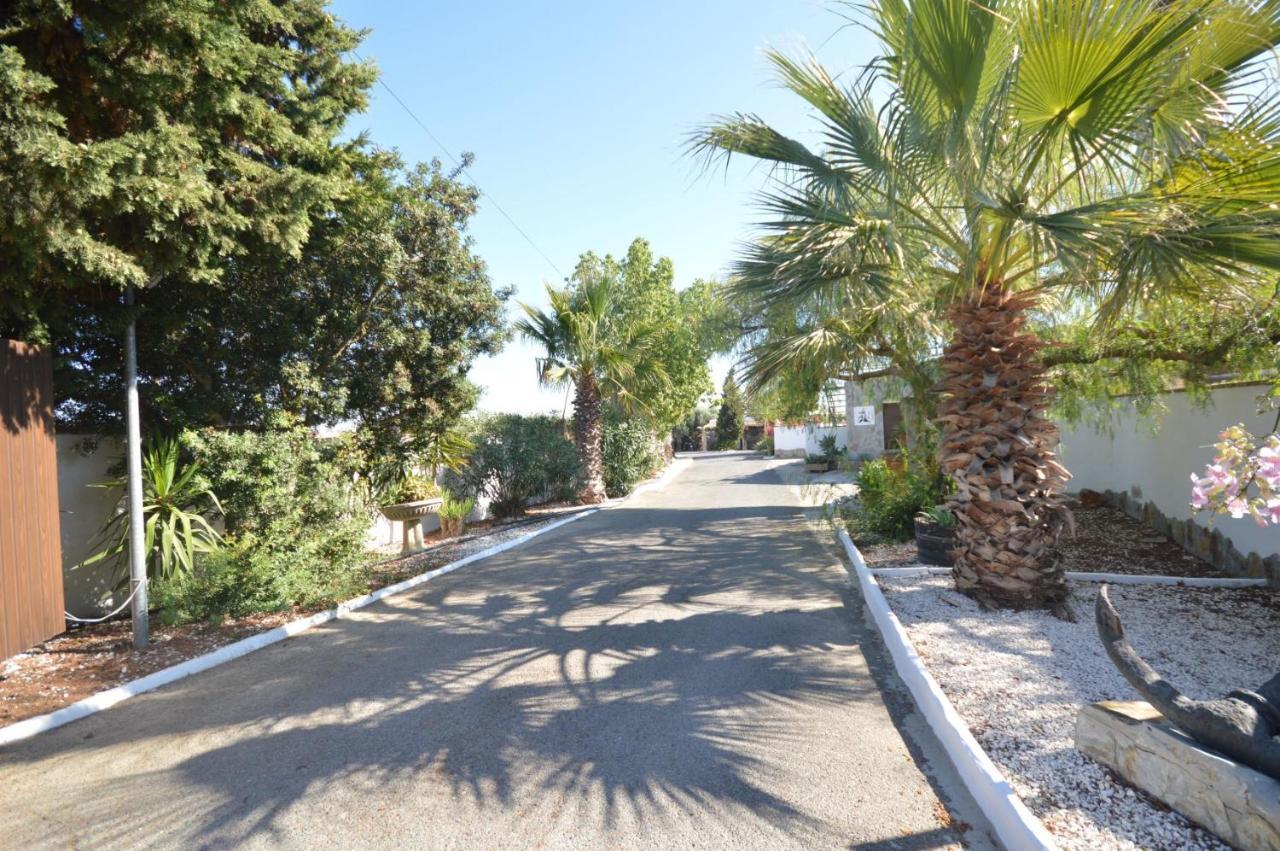 Estudios Con Piscina Compartida En Conil. Kadyks Zewnętrze zdjęcie