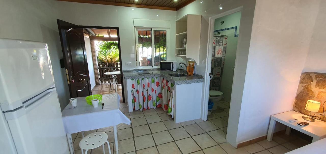 Estudios Con Piscina Compartida En Conil. Kadyks Zewnętrze zdjęcie