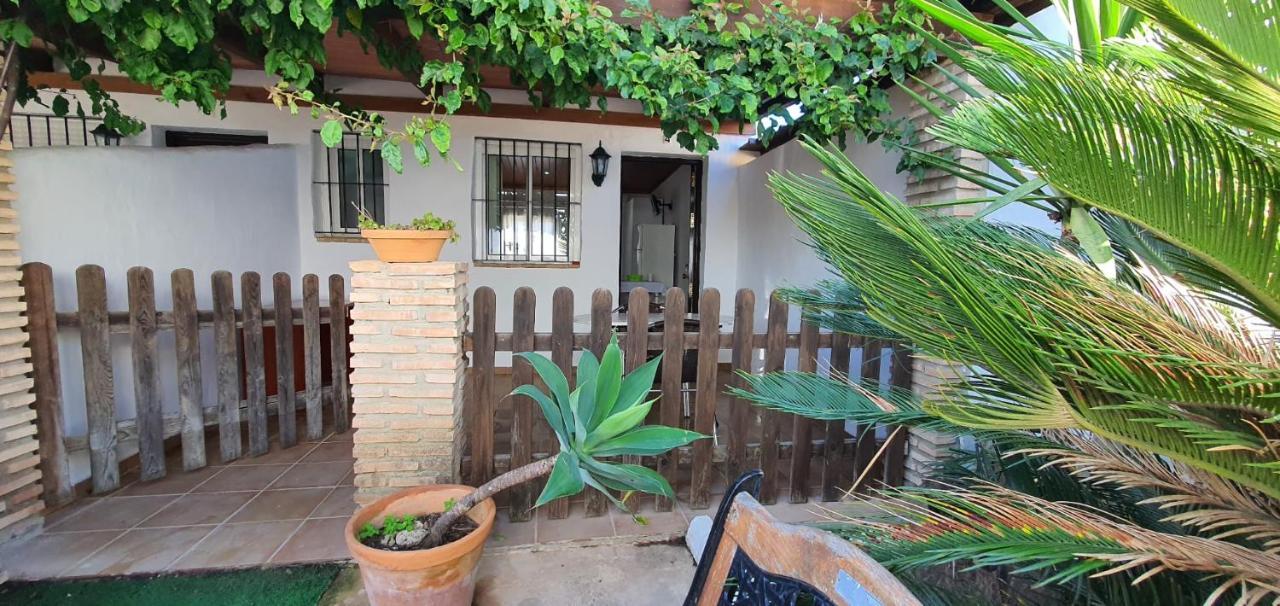Estudios Con Piscina Compartida En Conil. Kadyks Zewnętrze zdjęcie