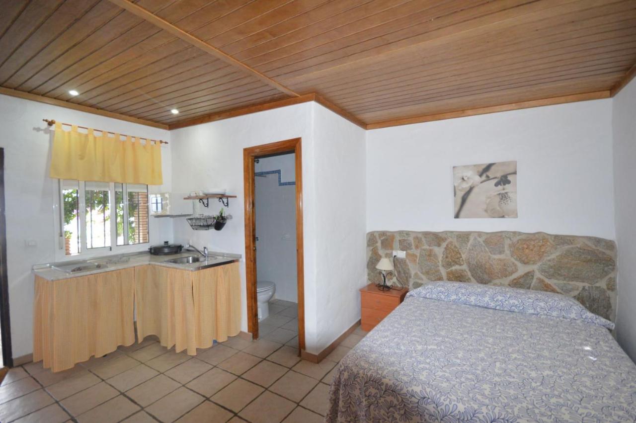 Estudios Con Piscina Compartida En Conil. Kadyks Zewnętrze zdjęcie